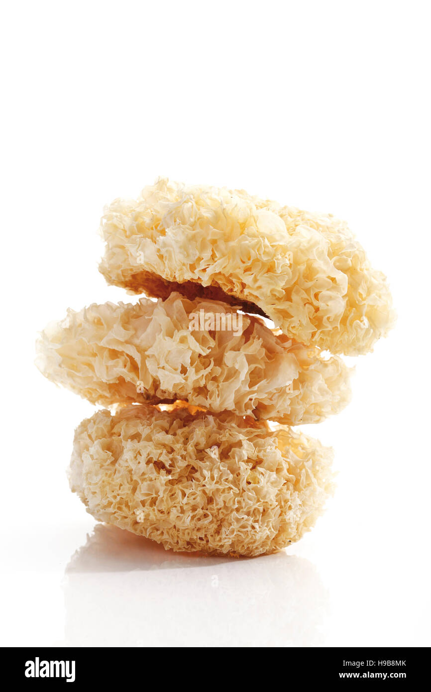 Stacked Sparassis or Cauliflower Mushrooms Stock Photo