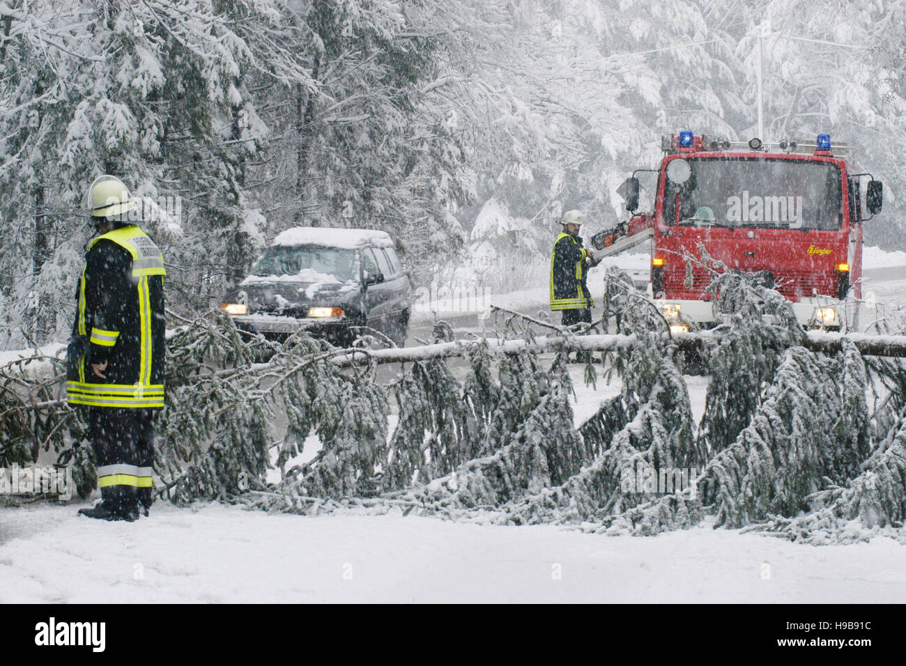Snow breakage, fallen tree blocking road, Putzbrunn, Upper Bavaria, Bavaria, Germany Stock Photo