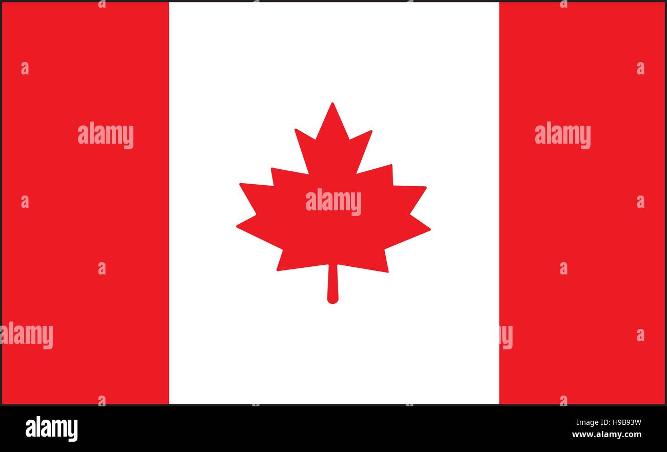 A Canada flag.National flag of Canada.vector illustration Stock Vector