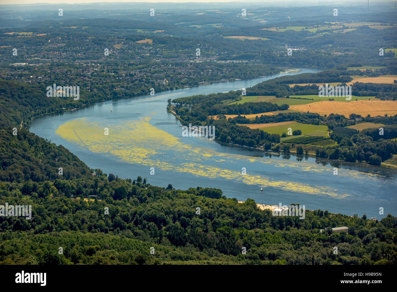 Aerial view, waterweed Elodea, Lake Baldeney, Essen, Ruhr district, North Rhine-Westphalia, Germany Stock Photo
