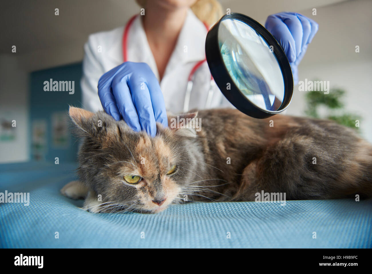 Hospital magnifying glass hires stock photography and images Alamy