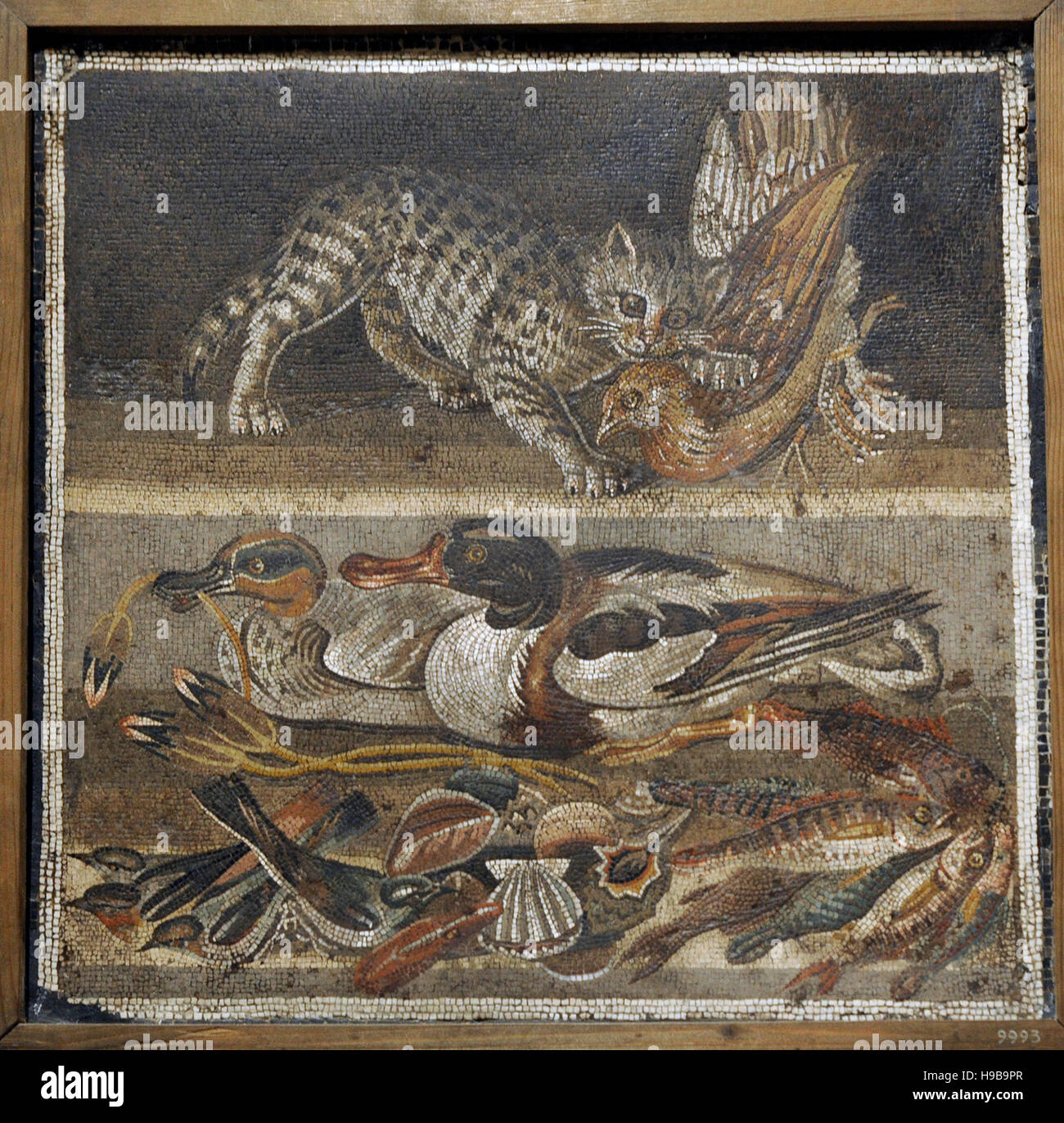 Roman mosaic. Cat with bird, ducks and sea life. Pompeii, House of the Faun (VI, 12, 2). 2nd century BC.National Archaeological Museum, Naples. Italy. Stock Photo
