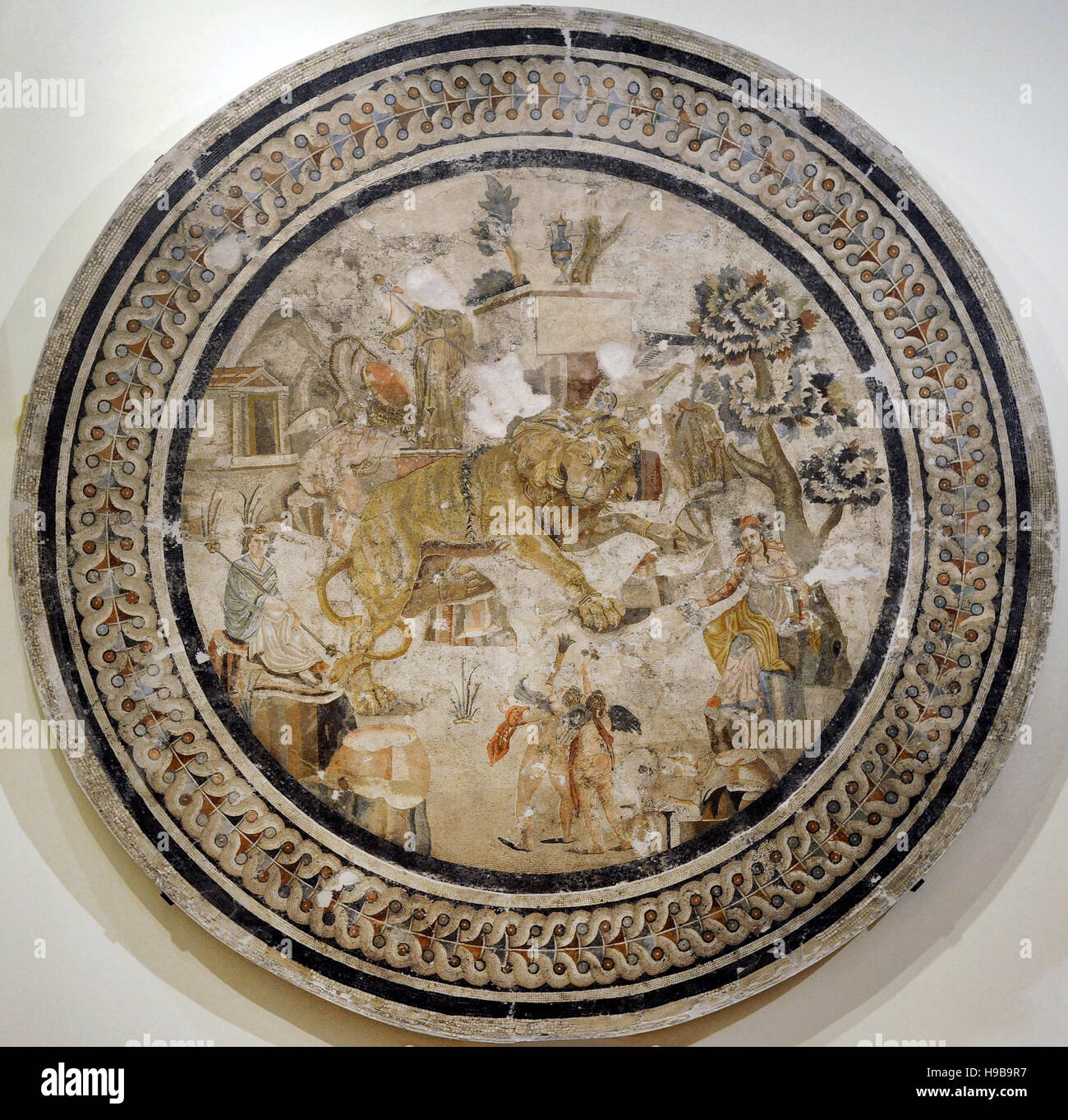 Round Roman mosaic of a lion and Cupids between Dionysus and Maenad, Pompeii, House of Centaur. National Archaeological Museum, Naples. Italy. Stock Photo