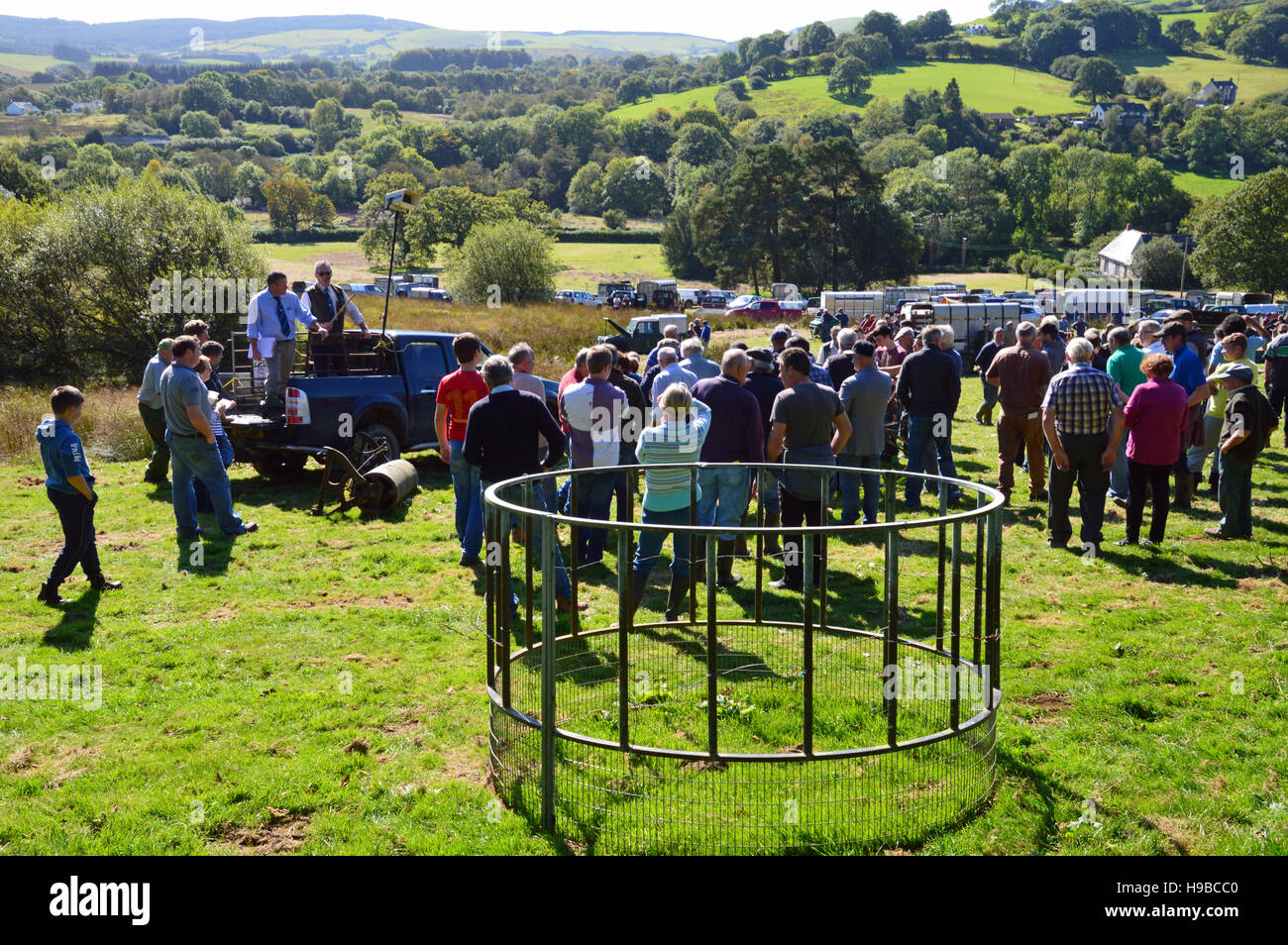 Farm Sale at Llanwrtyd Wells, Powys, Wales Stock Photo Alamy