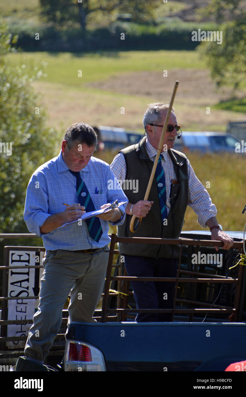 Farm Sale at Llanwrtyd Wells, Powys, Wales Stock Photo Alamy