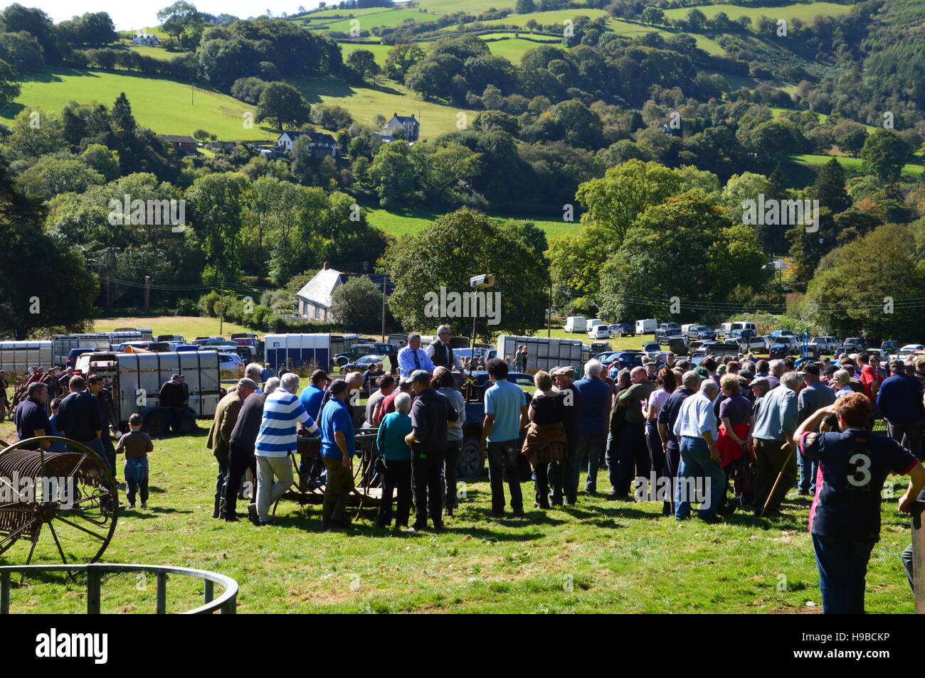 Farm Sale at Llanwrtyd Wells, Powys, Wales Stock Photo Alamy