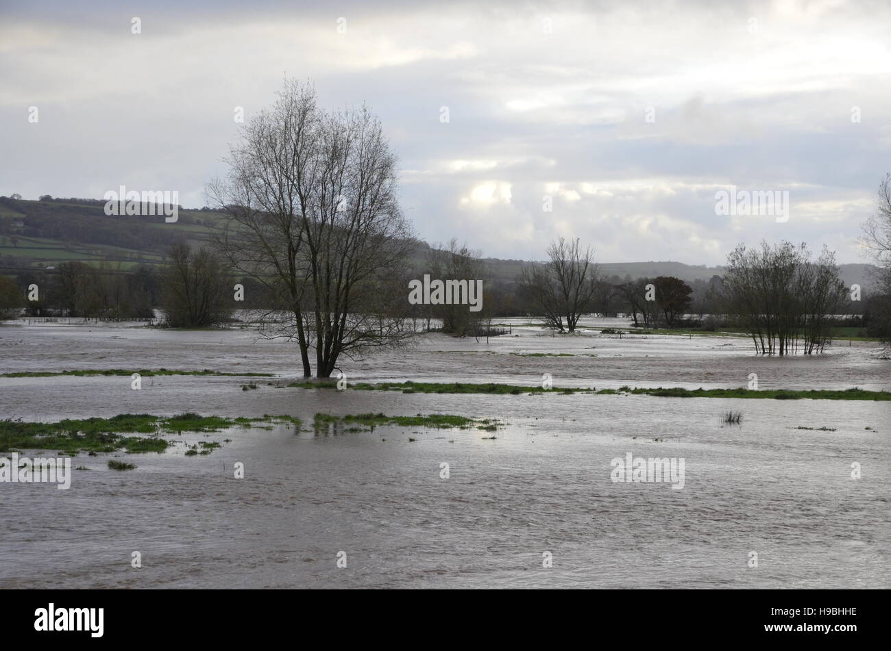 Axminster, Devon, UK. 21st Nov, 2016. UK Weather. A view of the River