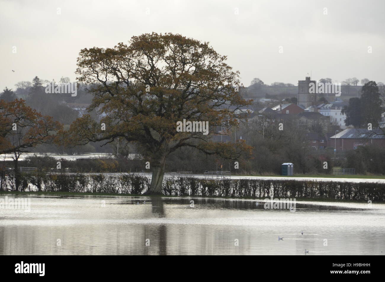 Axminster, Devon, UK. 21st Nov, 2016. UK Weather. A view of the River