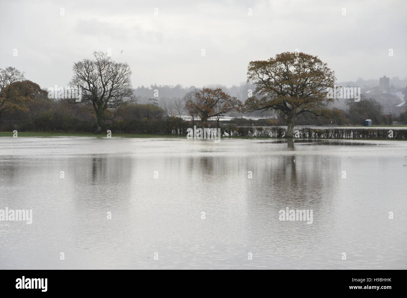 Axminster, Devon, UK. 21st Nov, 2016. UK Weather. A view of the River Yarty at Axminster in Devon which has broken its banks after a prelonged spell of heavy rain. Credit:  Graham Hunt/Alamy Live News Stock Photo