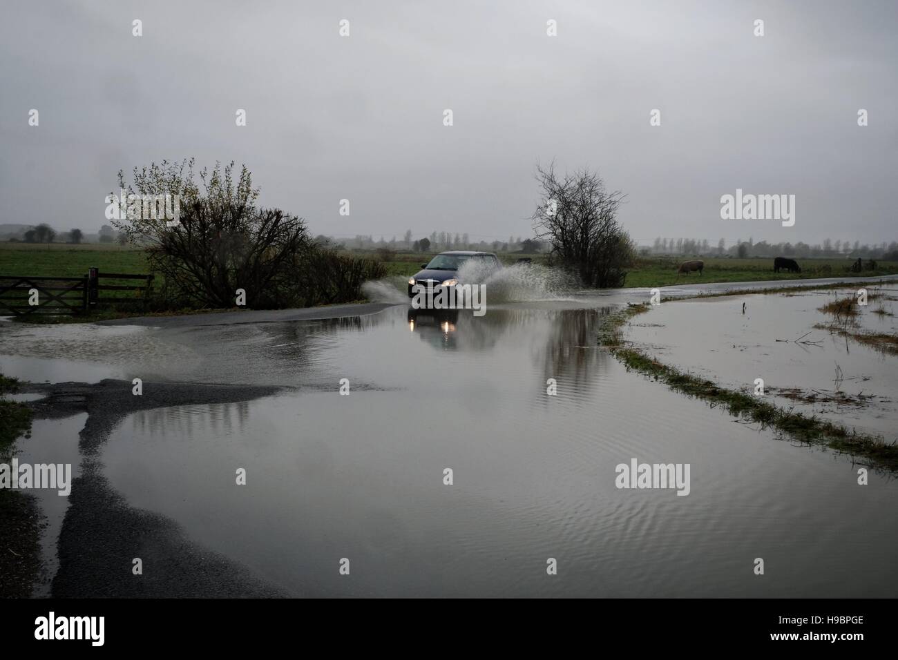 Glastonbury, Somerset, UK. 22nd Nov, 2016. UK weather.  Driving conditions deteriorate as roads on the Somerset levels begin to flood. Credit:  Tom Corban/Alamy Live News Stock Photo