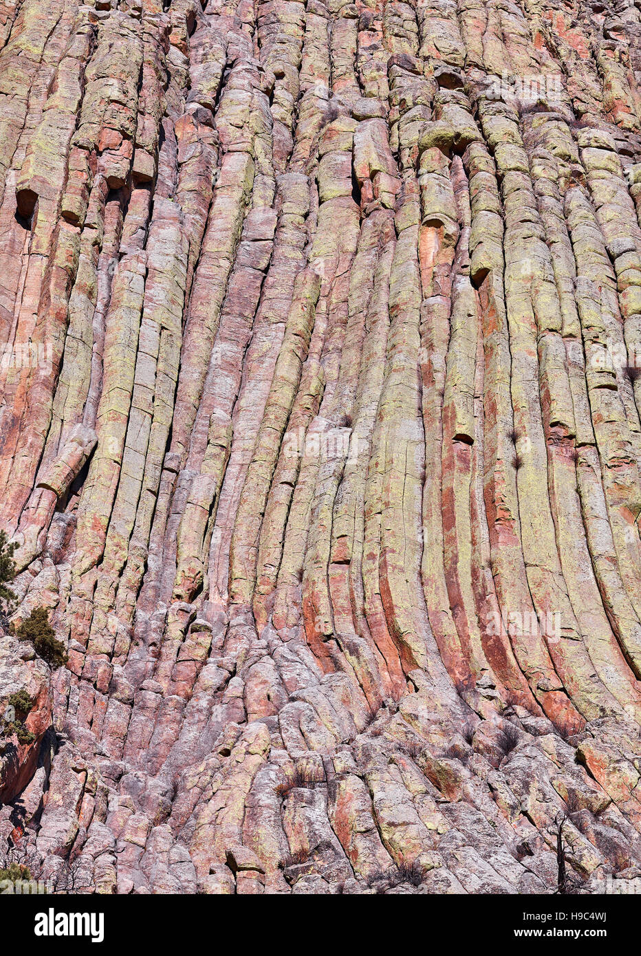 Devils Tower rock formations natural background, a laccolith butte composed of igneous rock in the Bear Lodge Mountains, USA. Stock Photo