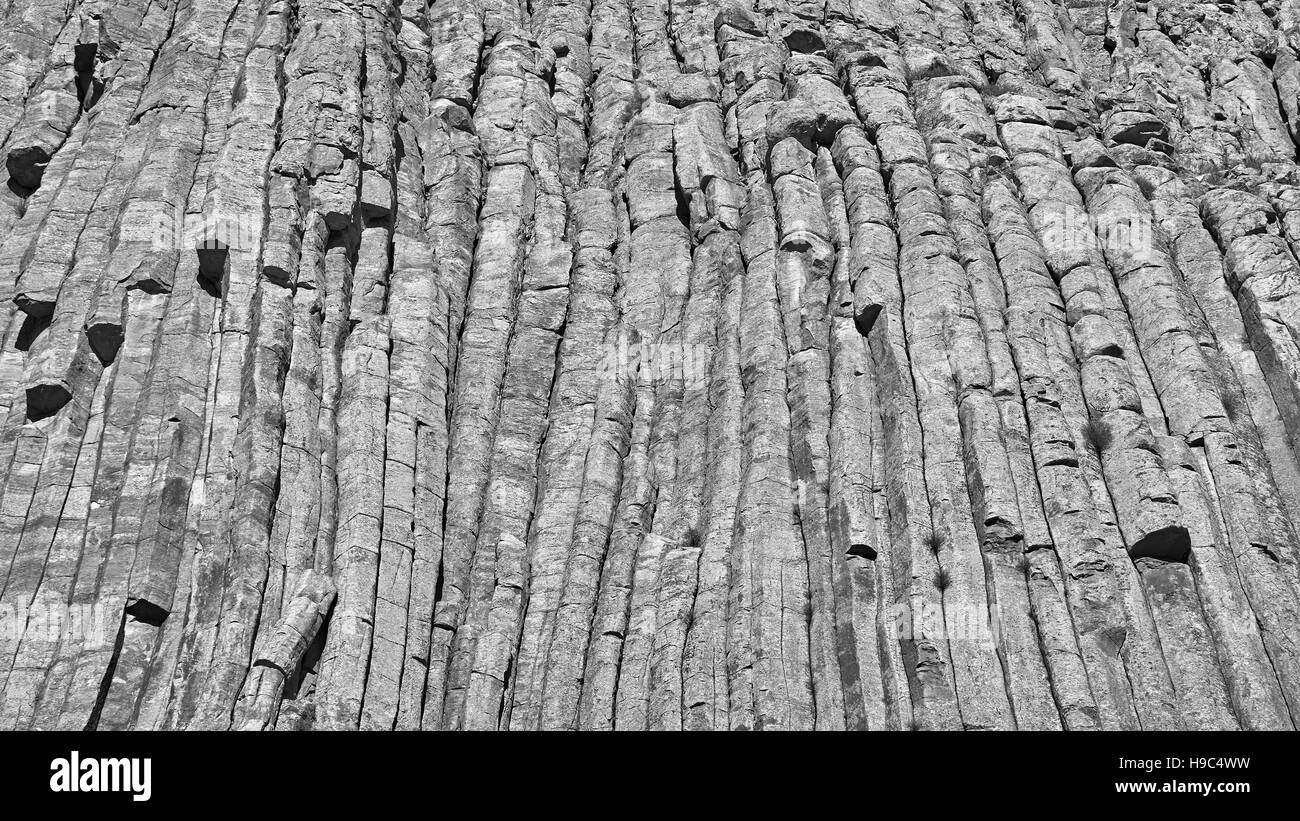 Black and white Devils Tower rock formations natural background, a laccolith butte composed of igneous rock in the Bear Lodge Mountains, USA. Stock Photo