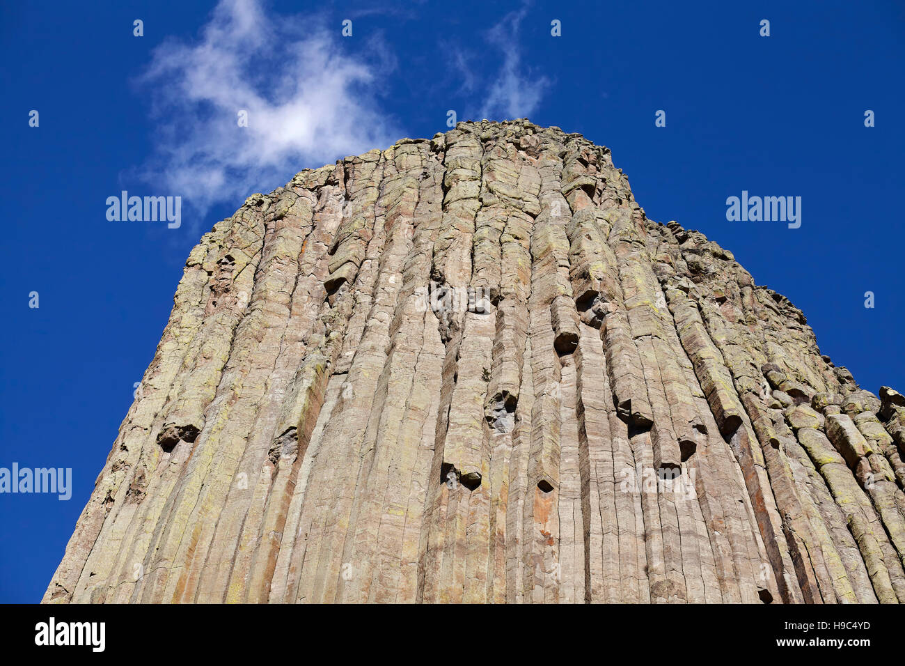 Devils Tower, a laccolith butte composed of igneous rock in the Bear Lodge Mountains, top attraction in Wyoming State, USA. Stock Photo