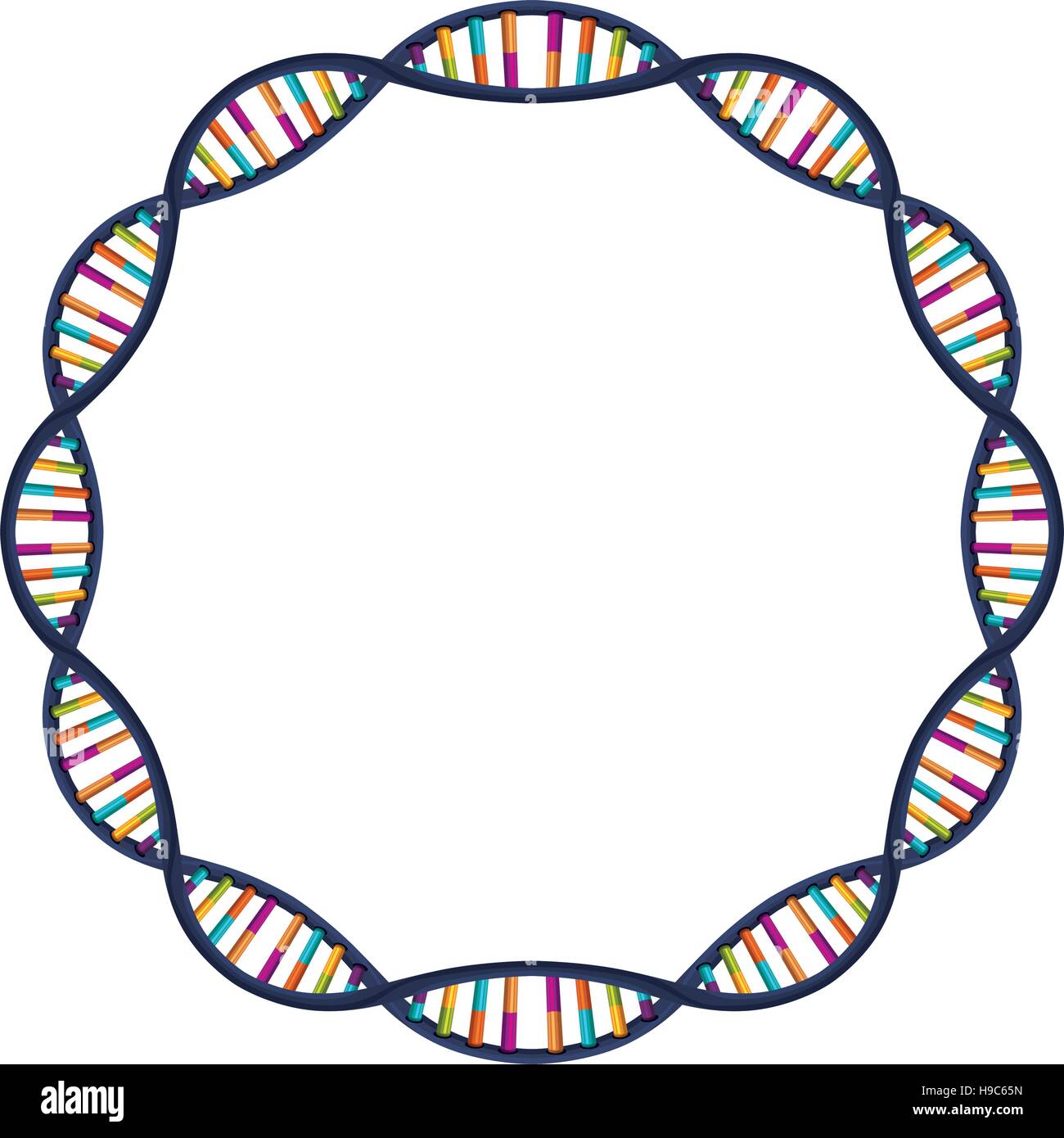 DNA strand sphere with curves Stock Vector Image & Art Alamy