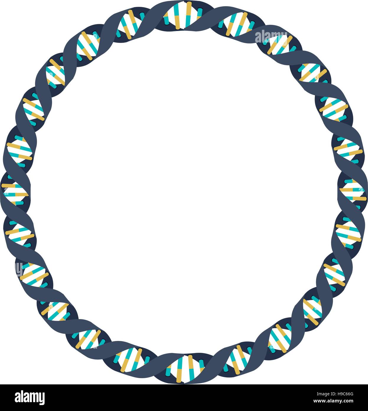 genetic code in circle with bases in cold colors Stock Vector Image ...