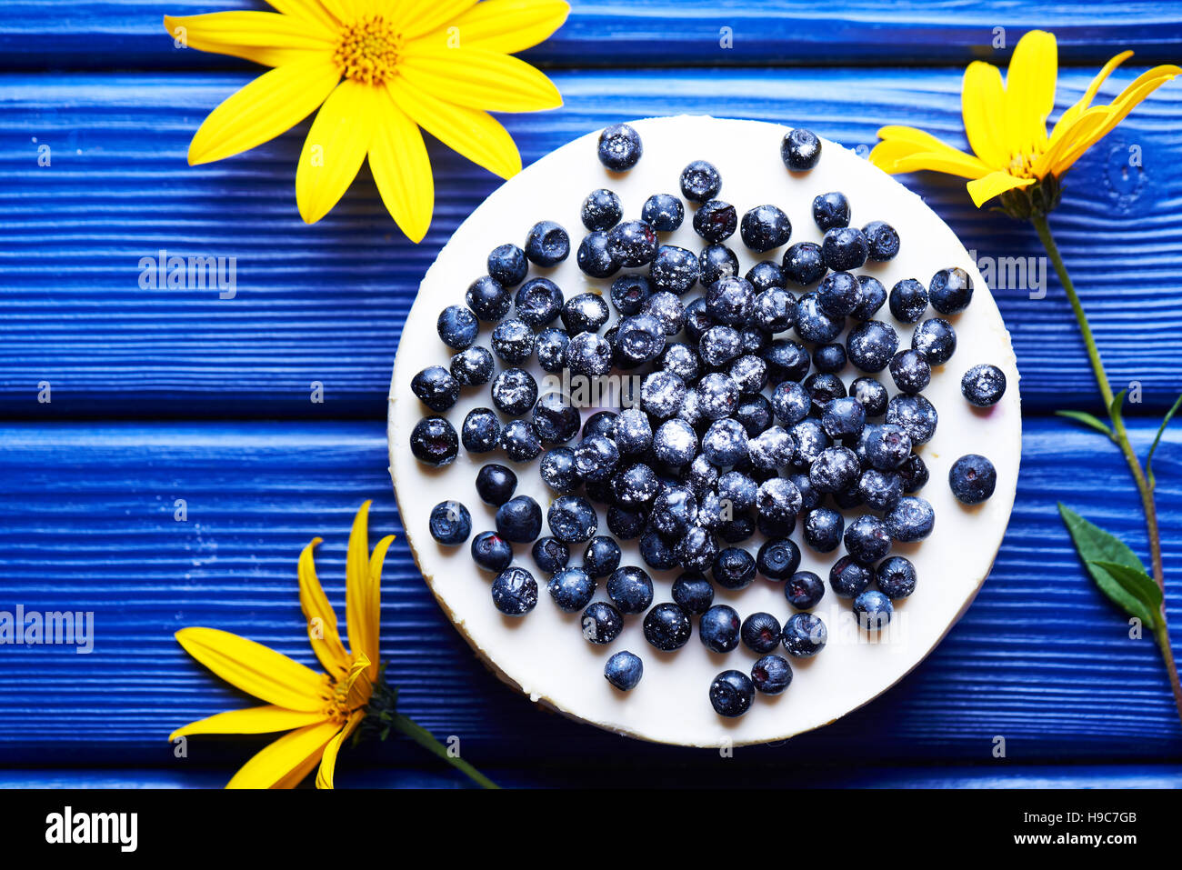 Sweet creamy blueberry cheesecake with fresh blue berries on a blue wooden background with yellow flowers. top view. Stock Photo