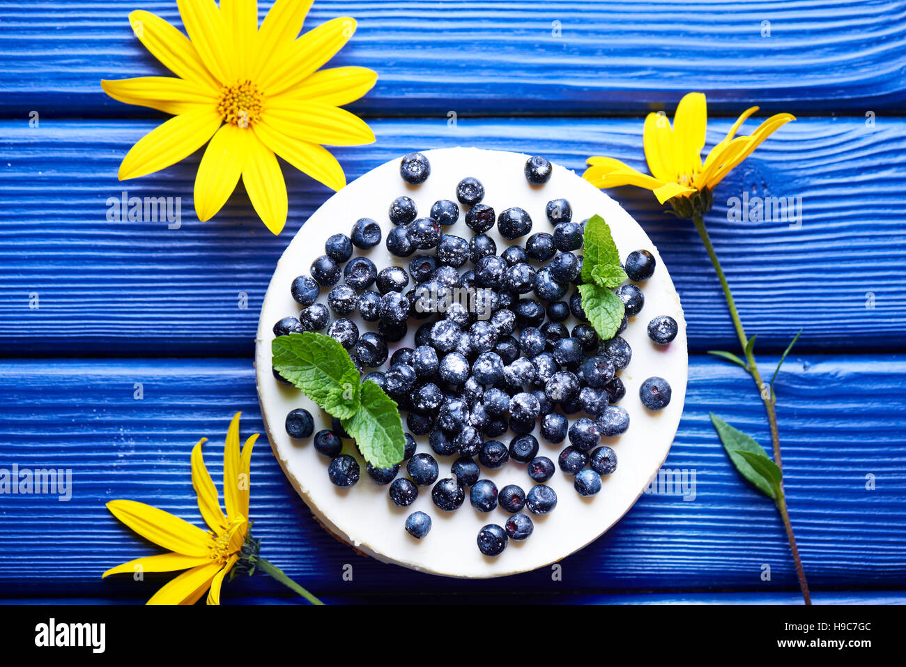 Sweet creamy blueberry cheesecake with fresh blue berries on a blue wooden background with yellow flowers. top view. Stock Photo