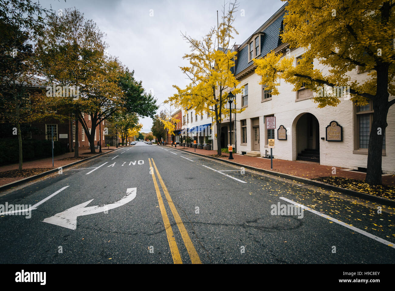 Autumn color along Federal Street, in Easton, Maryland. Stock Photo