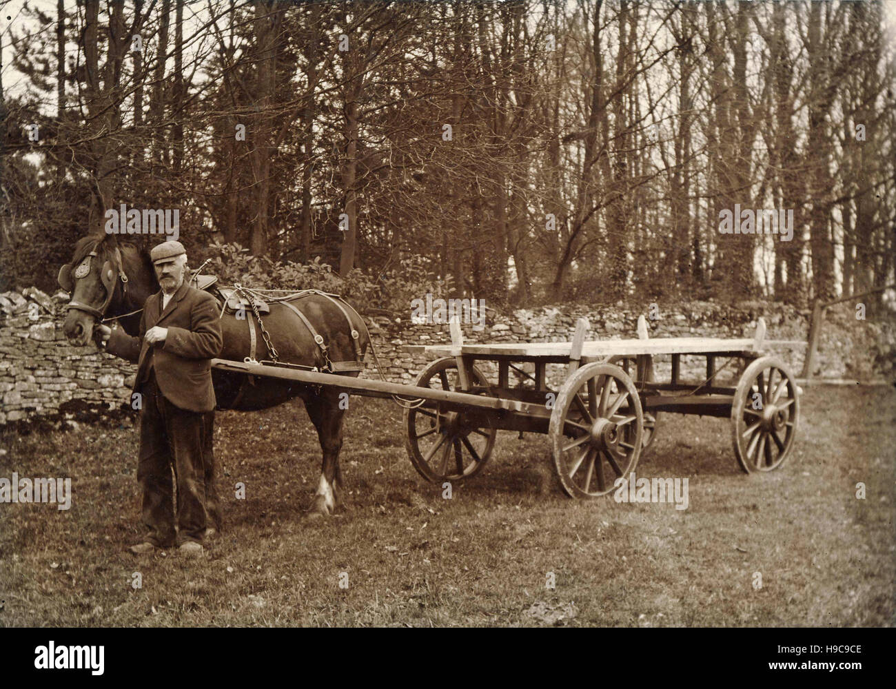 Historic archive image of working man with horse and cart c1900 Stock Photo