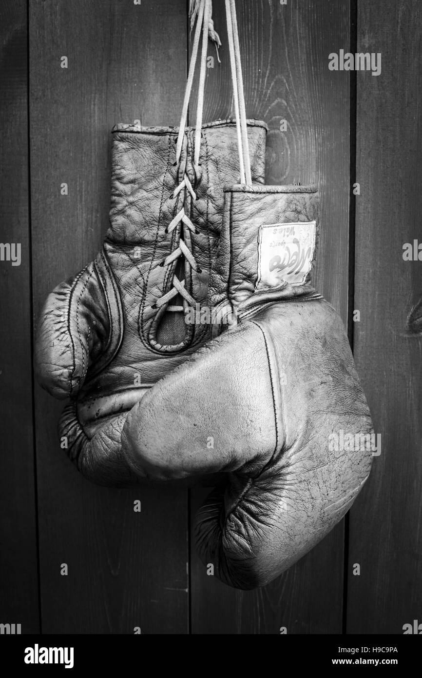 Leather boxing gloves hanging against a distressed wooden panel Stock Photo