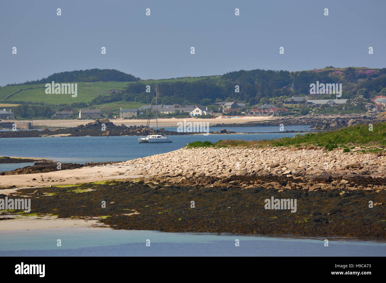 Scillys hires stock photography and images Alamy