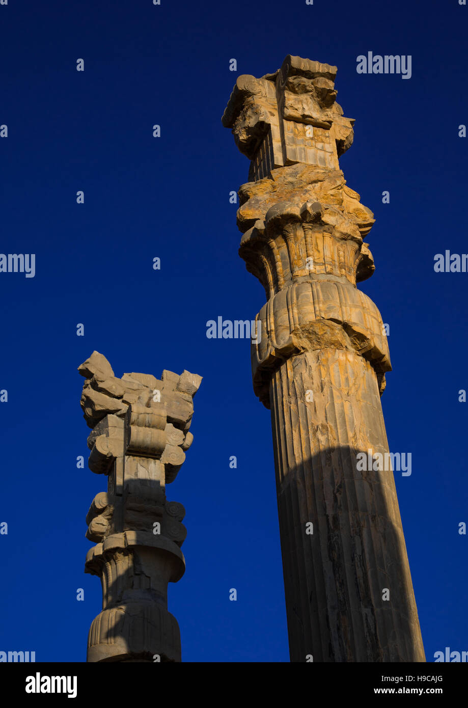 Ancient columns in the gate of all nations in persepolis, Fars province, Marvdasht, Iran Stock