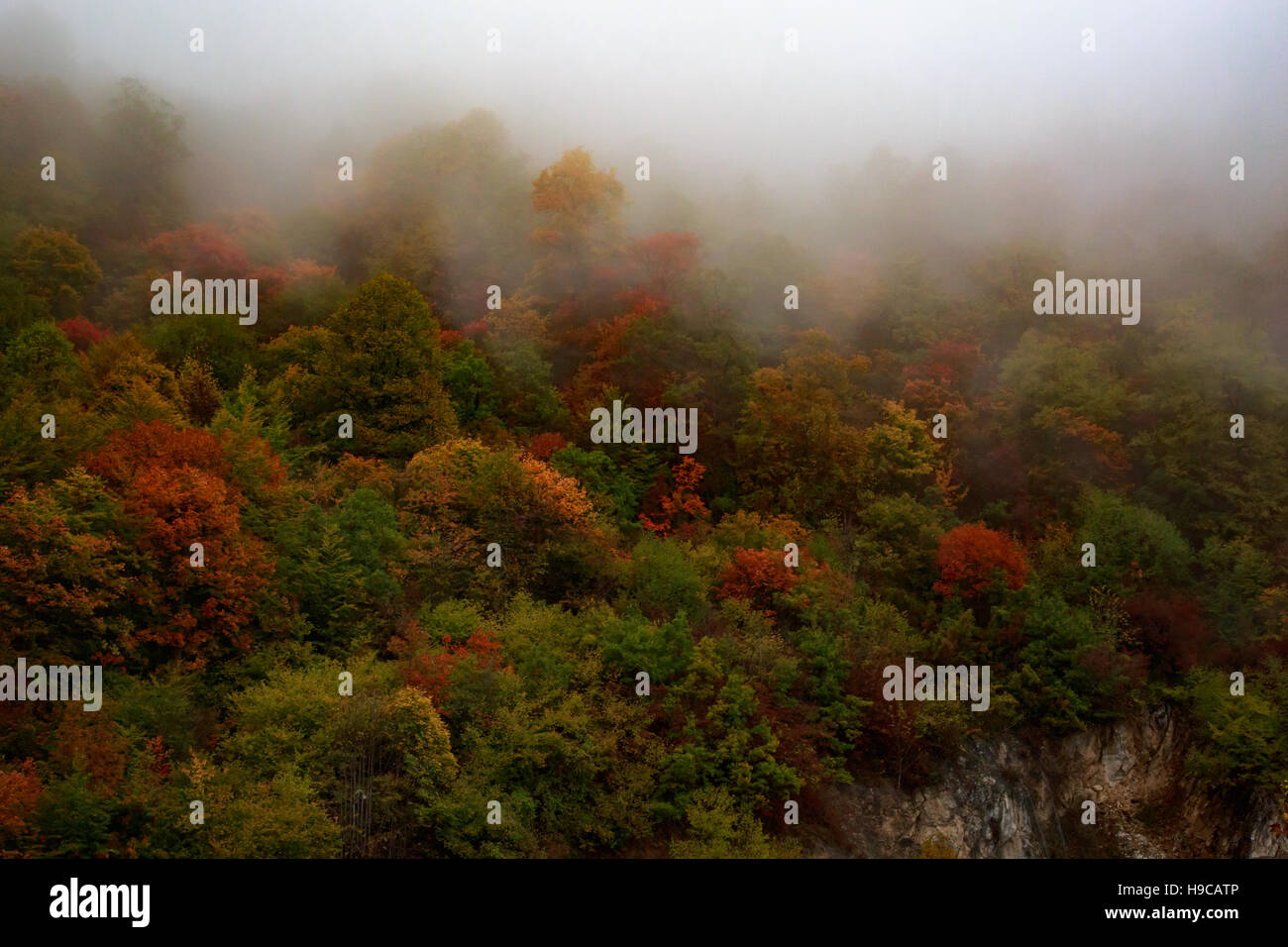 misty and cloudy autumn high in the mountains. Different colors of autumn Stock Photo
