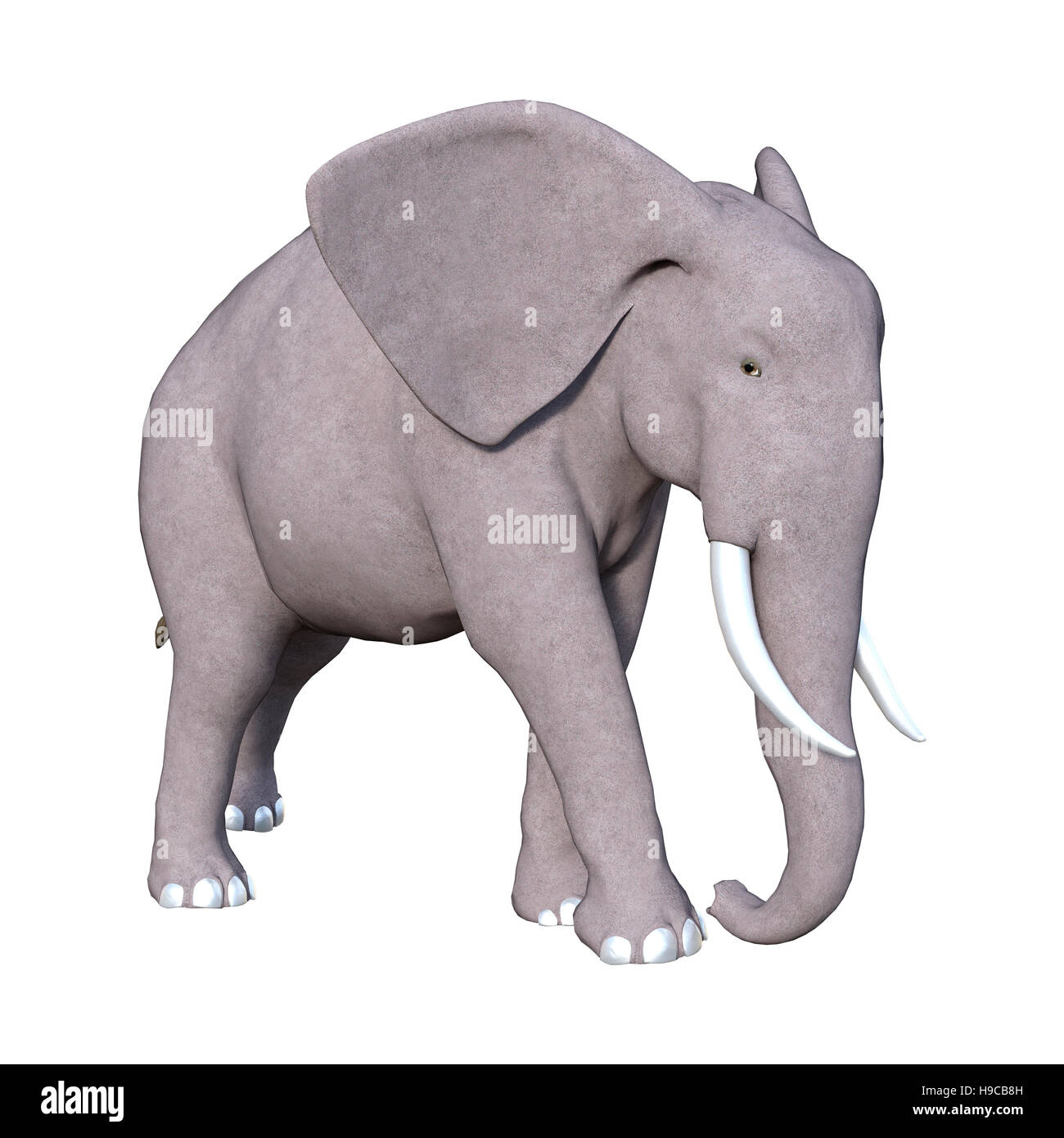 3D rendering of an elephant isolated on white background Stock Photo ...