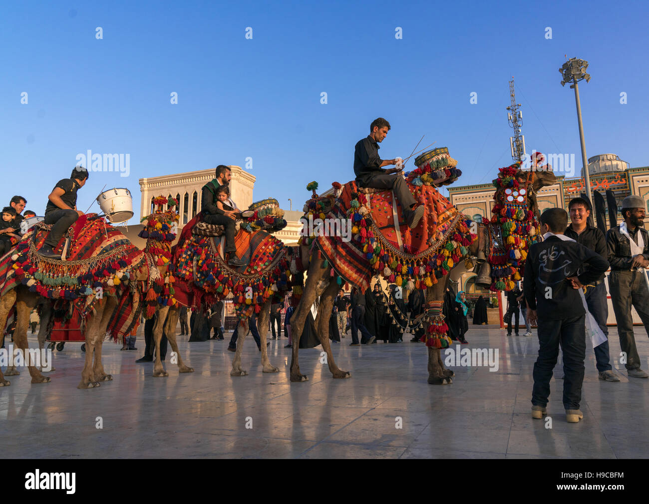 Procession with camels during muharram celebrations in fatima al-masumeh shrine, Central county, Qom, Iran Stock Photo