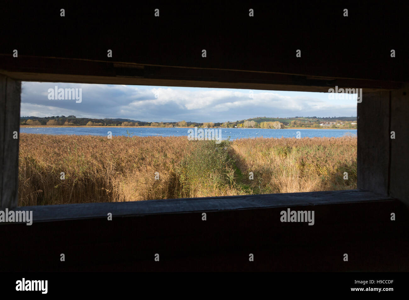Llangorse Lake, 'Llyn Syfaddon' from one of it's wildlife hide, Brecon Beacons National Park, Wales, UK Stock Photo