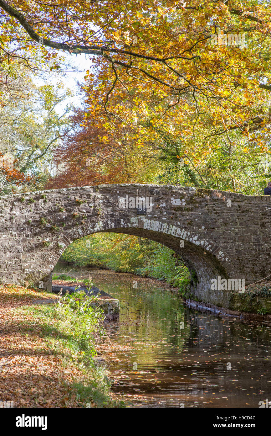 Autumn on the Monmouthshire & Brecon Canal, Brecon Beacons National Park, Wales, UK Stock Photo