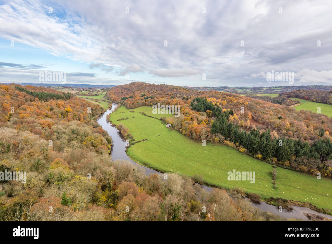 Autumn over the River Wye from Symonds Yat Rock, Gloucestershire, England, UK Stock Photo
