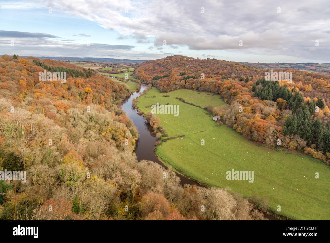 Autumn over the River Wye from Symonds Yat Rock, Gloucestershire, England, UK Stock Photo