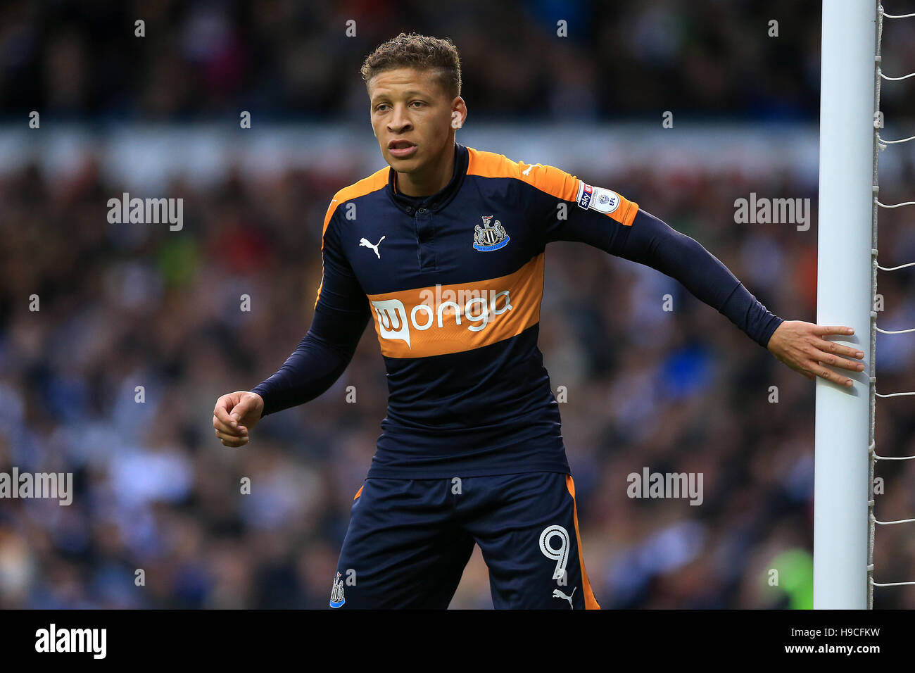 Dwight Gayle, Newcastle United Stock Photo Alamy