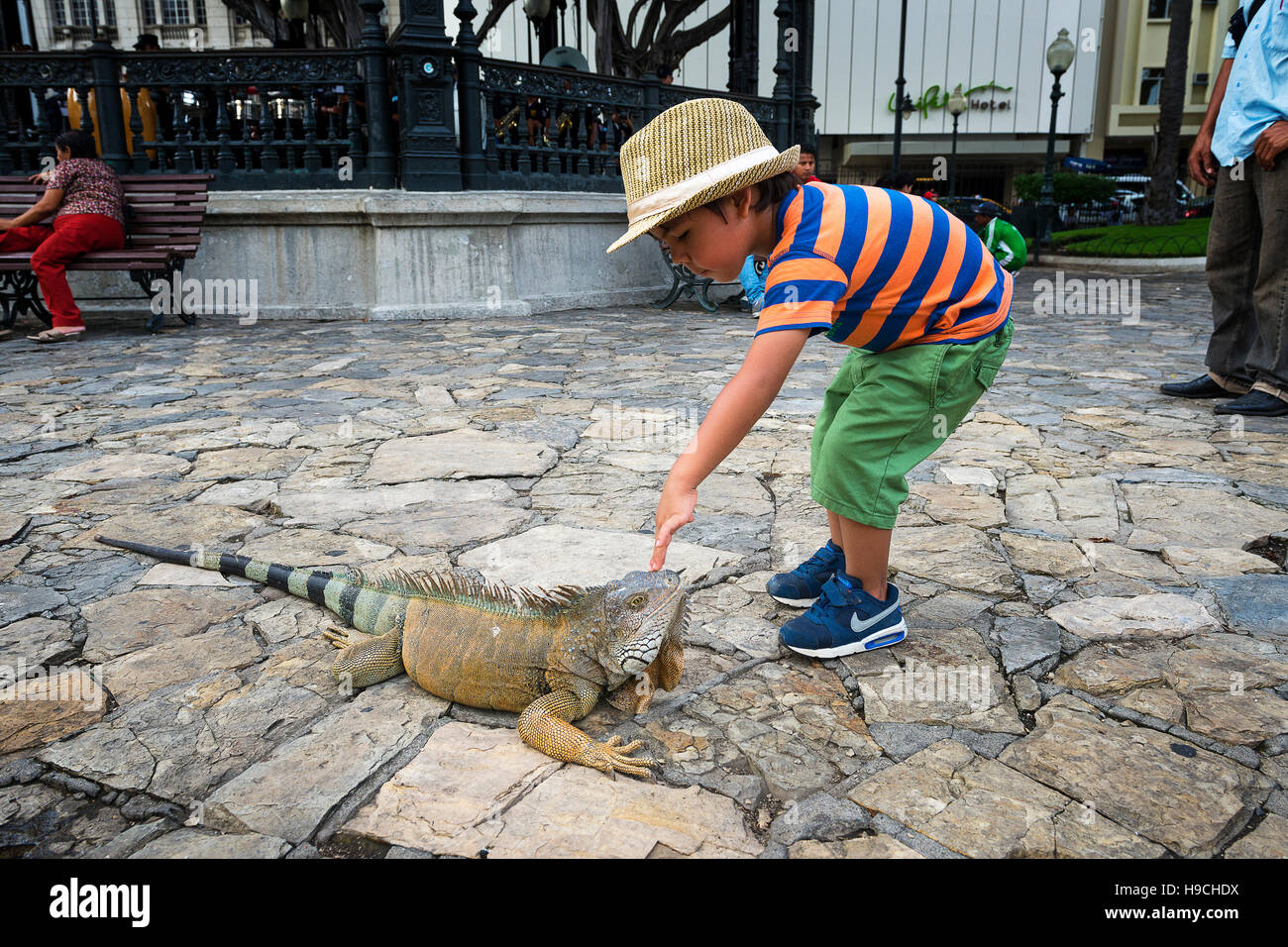 Guayaquil, Ecuador - January 21, 2014: Child playing with an iguana in the Parque Bolívar in Guayaquil, Ecuador. Stock Photo