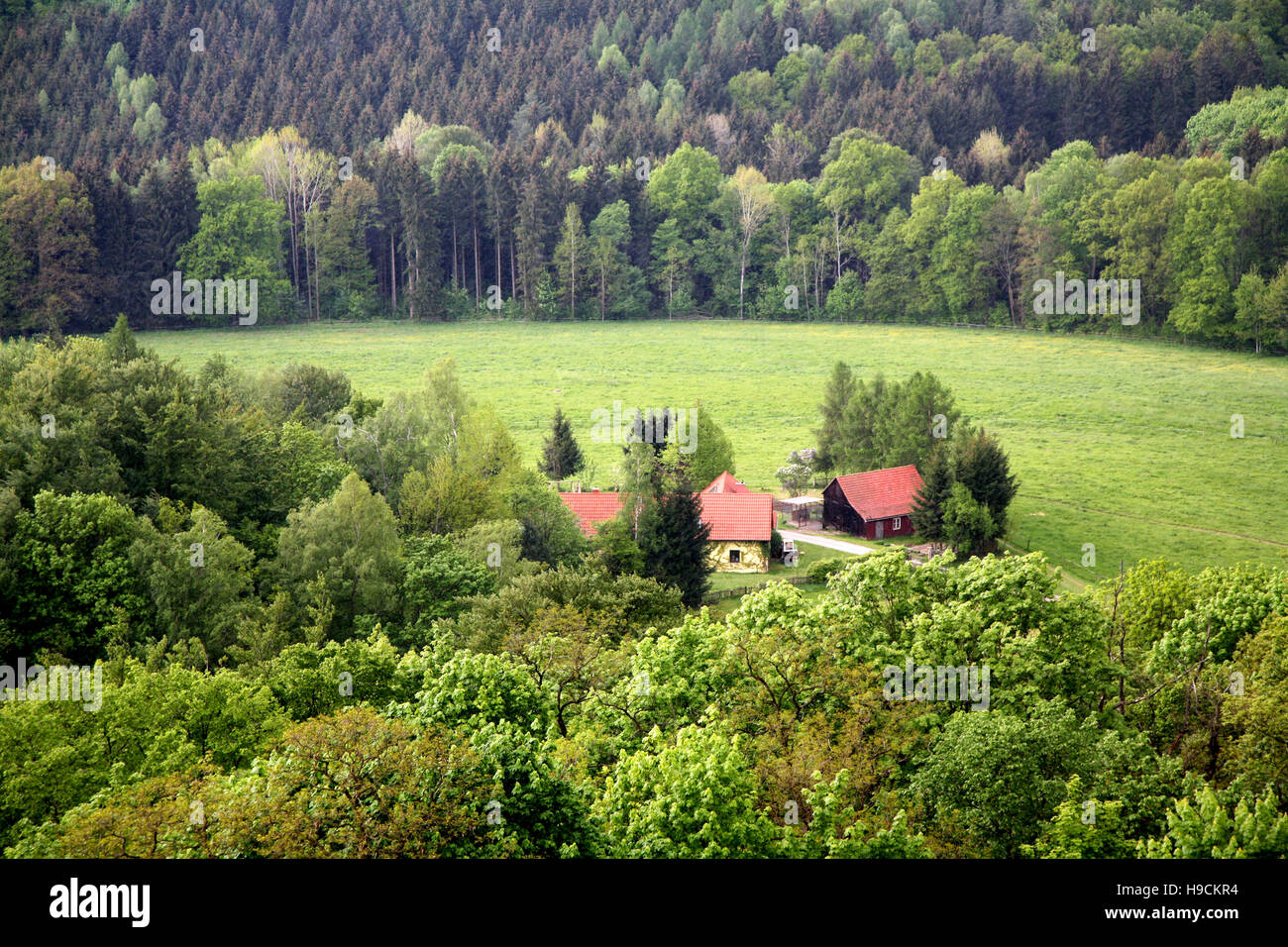 Nature Saxony Switzerland Stock Photo
