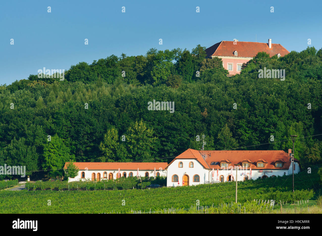 Kojetice (Kojetitz): Castle and wine and cultural center Sadek, , Vysocina, Region Hochland, Czech Stock Photo
