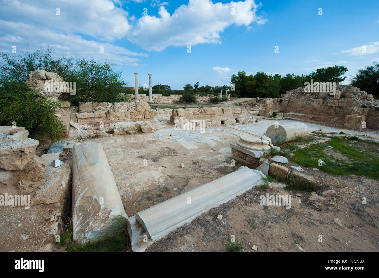 Salamis, an ancient Greek citystate on the east coast of Cyprus Stock