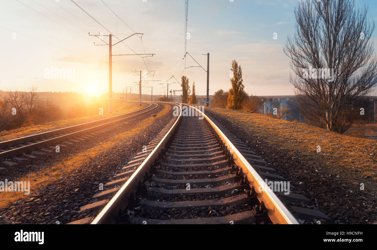 Railway station against beautiful sky at sunset. Industrial landscape with railroad, blue sky, trees and grass. Railway junction Stock Photo