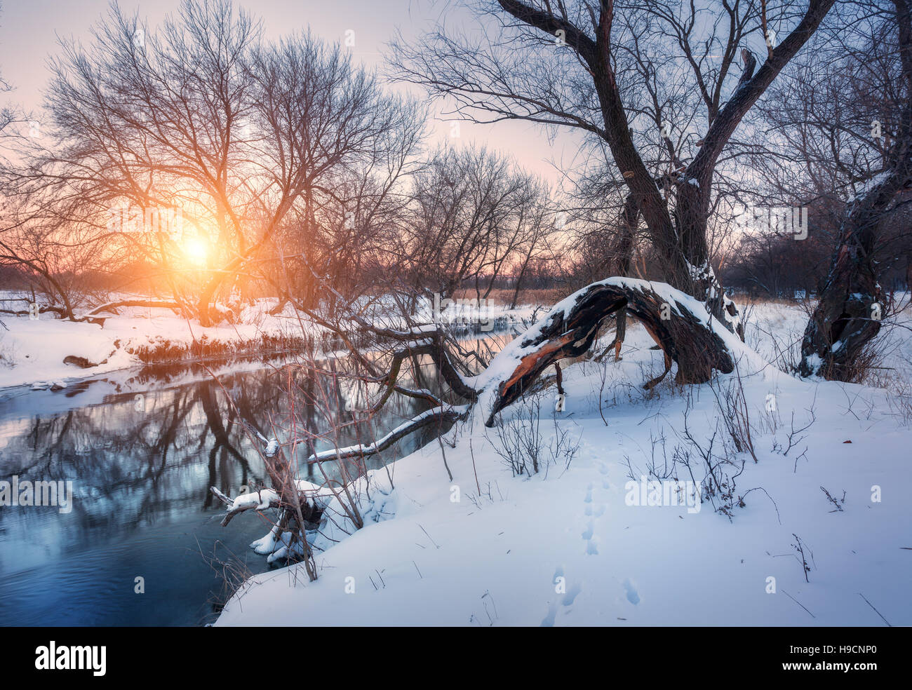 nature winter sunset