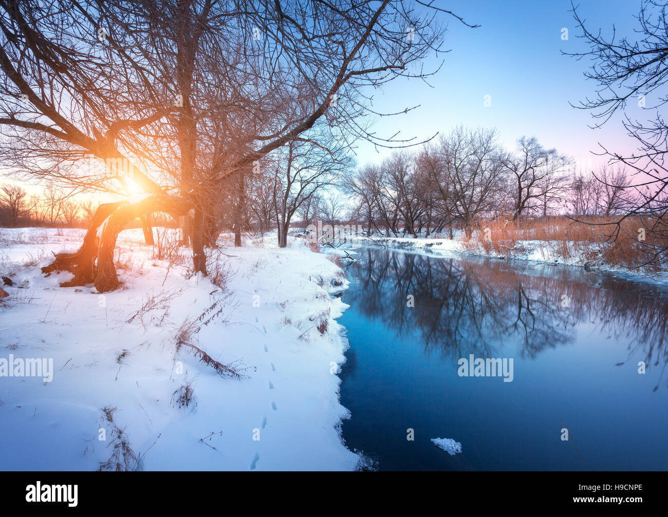 Beautiful winter landscape tree hi-res stock photography and images - Alamy