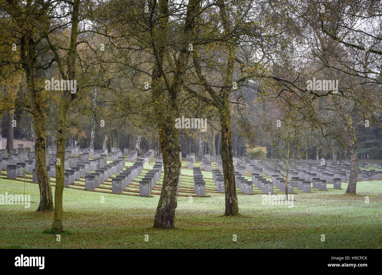 Cannock Chase German war cemetery in autumn. Rows of headstones of Germans who died on British soil in World War 1 Stock Photo