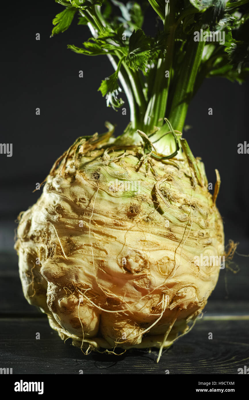 Celery root celeriac, fresh healthy vegetable with green shoots Stock