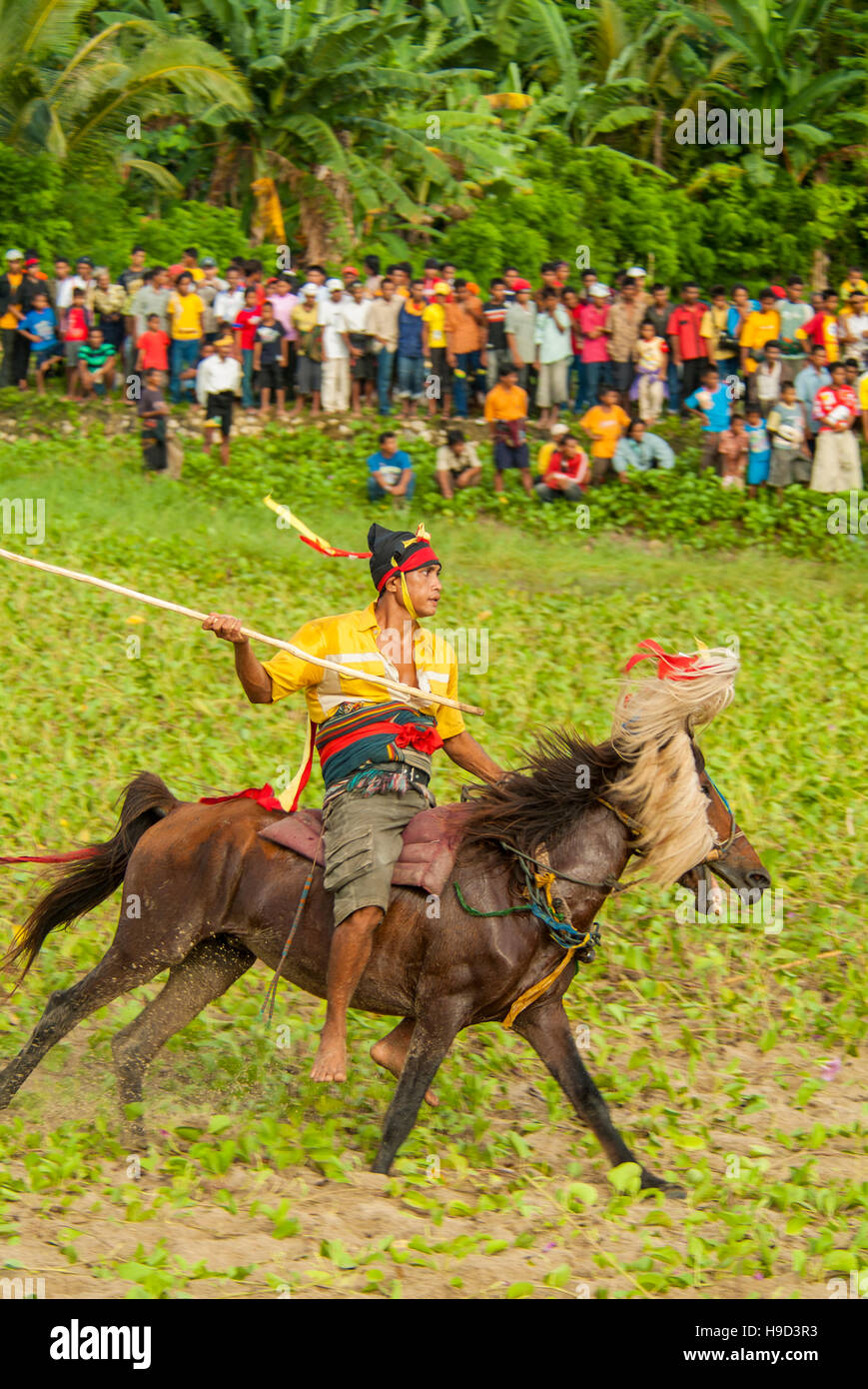 Horsemen at the Pasola, an annual battle where tribes throw spears to