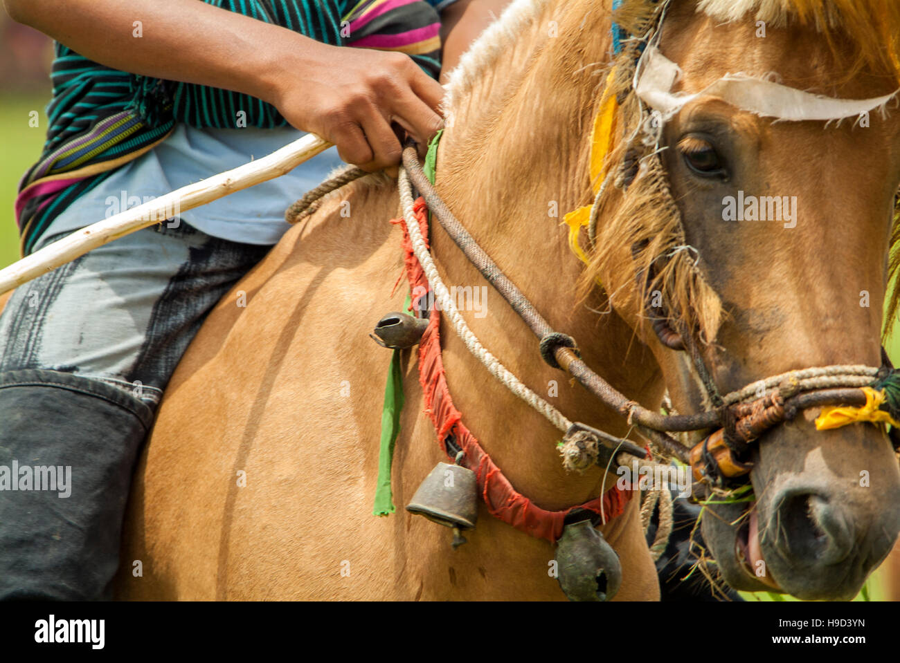 Horsemen at the Pasola, an annual battle where tribes throw spears to