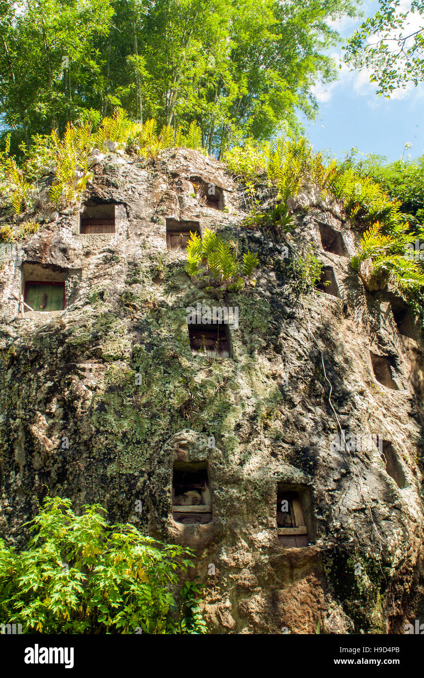 A cliff with burial sites in Tana Toraja on Sulawesi, Indonesia. Stock Photo