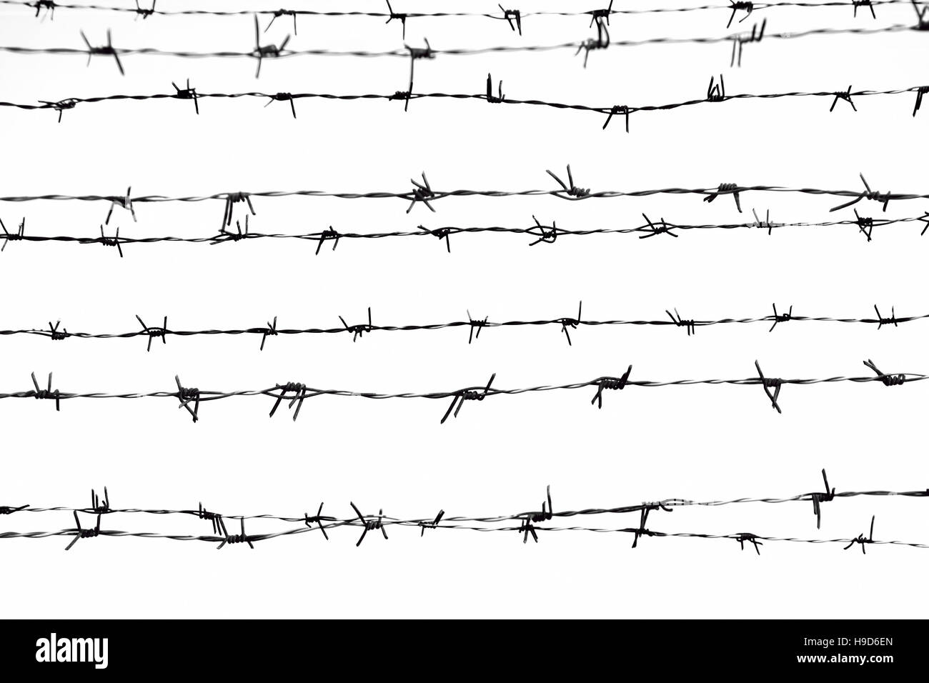 Barbed wire in white background. Stock Photo