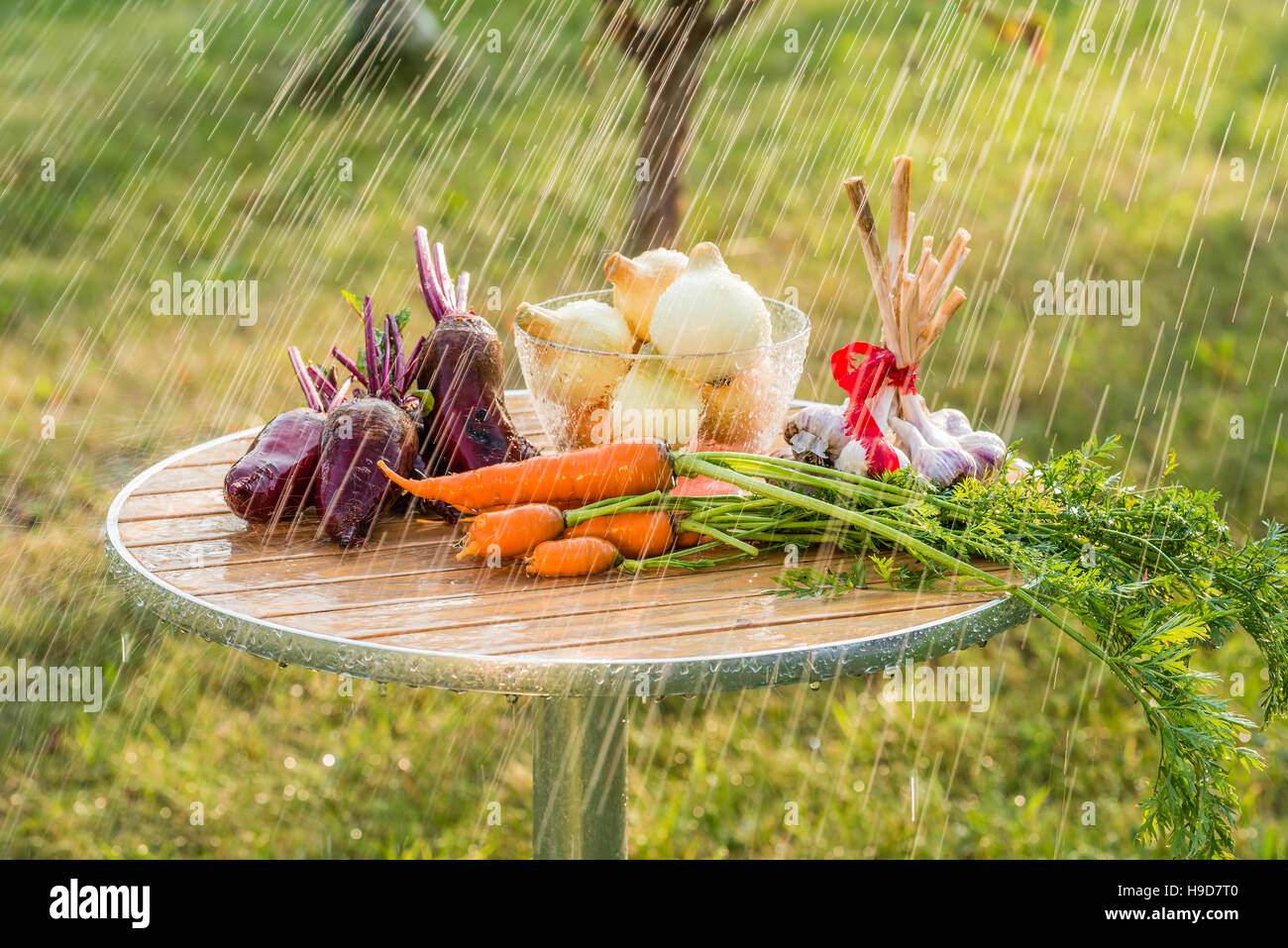 Summer rain and vegetables Stock Photo Alamy