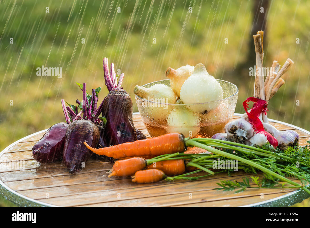 Summer rain and vegetables Stock Photo Alamy