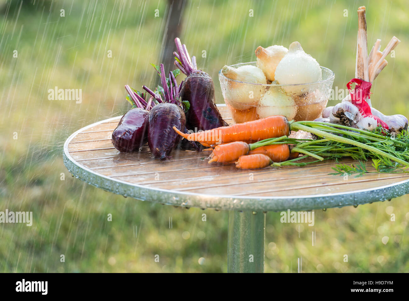 Summer rain and vegetables Stock Photo Alamy